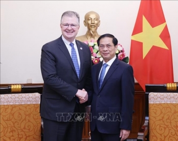US a partner of strategic importance of Vietnam: FM