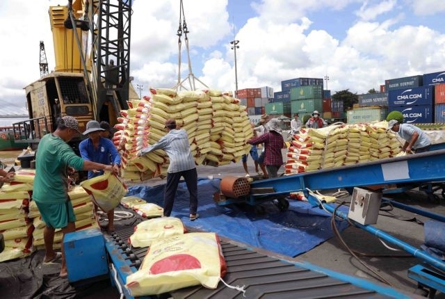 Philippine tax cut opens up new opportunities for Vietnamese rice exports