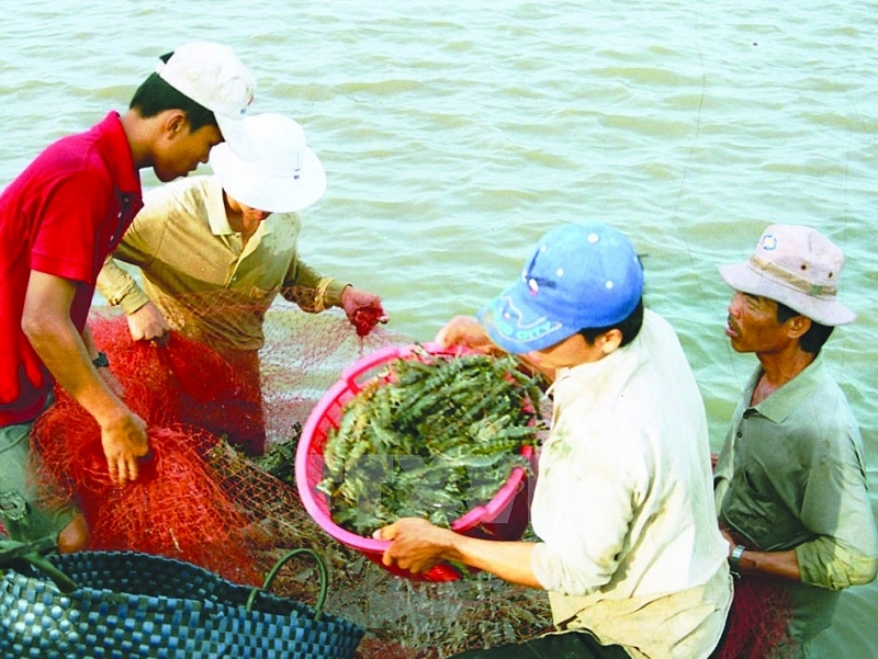 Input materials are a major current issue seafood enterprises