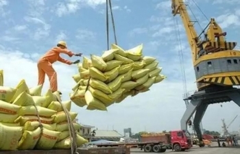 Vietnam earns 2.98 billion USD from rice exports in H1