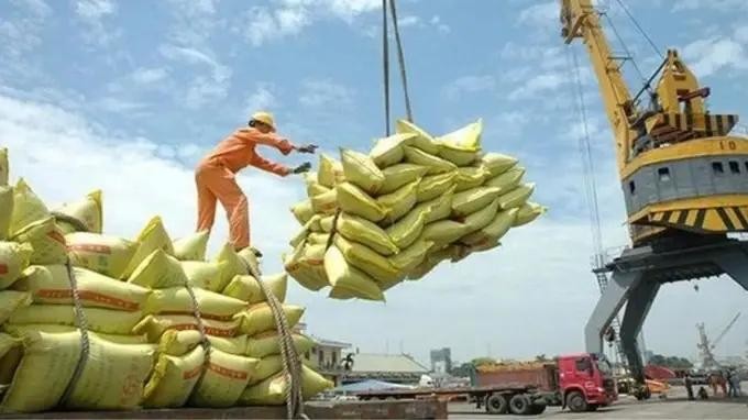Vietnam exports 4.68 million tonnes of rice in the first six months of this year, earning 2.98 billion USD (Photo: sggp.org.vn)