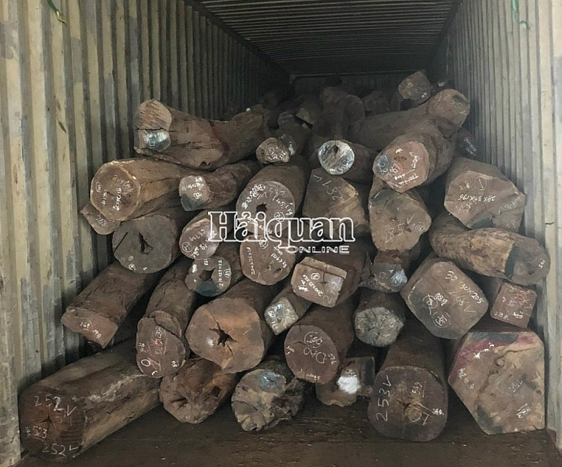 Smuggled woods in the seizue cases conducted by Anti-smuggling and Investigation Department (General Department of Vietnam Customs) on 2022