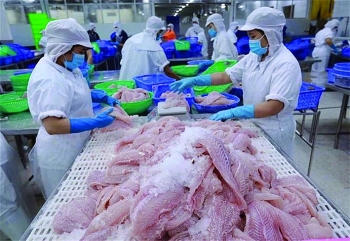 FTA - support to promote pangasius export