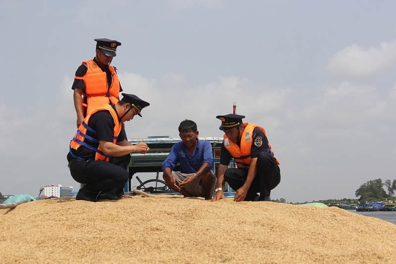 An Giang Customs inspects imported rice (paddy). Photo: T.H