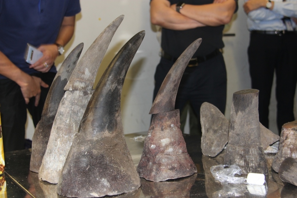 Many smugglers of rhino horns and wildlife products imprisoned