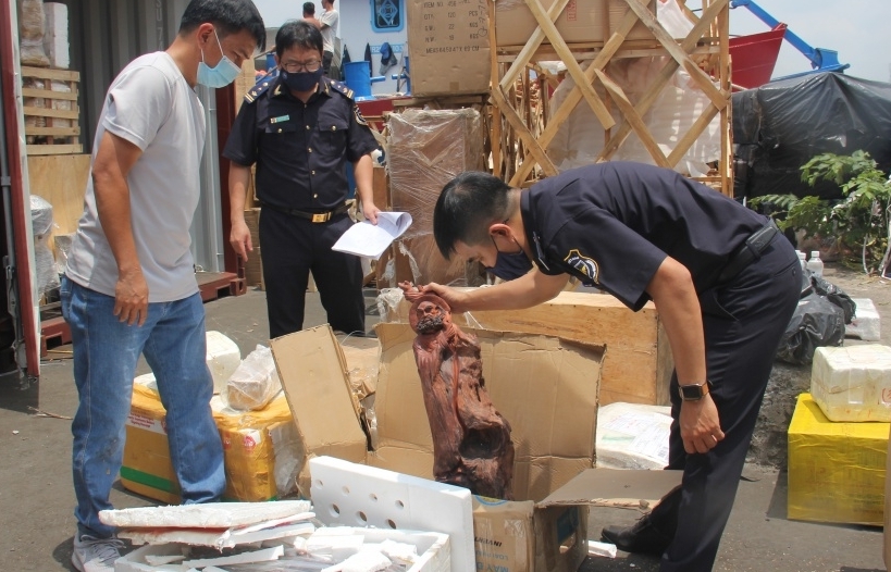 Ho Chi Minh City Customs seize infringing goods worth nearly VND2,700 billion