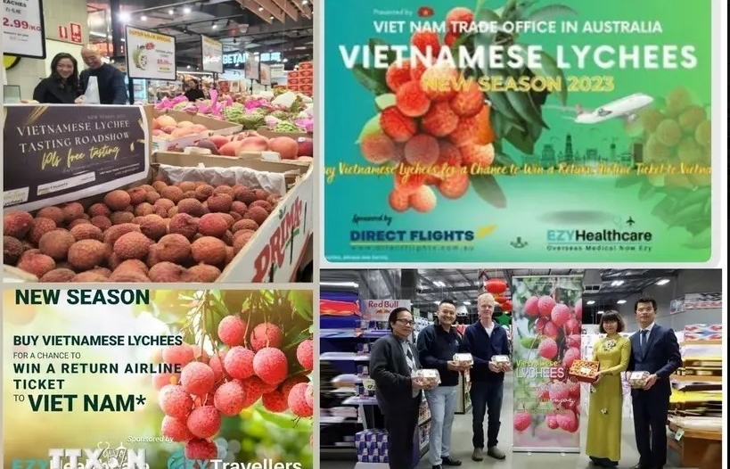 Vietnamese lychee sold well at Costco stores in Australia