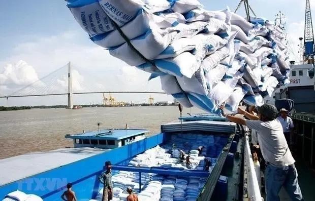 Rice exports to set record turnover of 5 billion USD in 2024 (Photo: VNA)