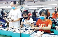 Đồng Nai's key export item hopes for recovery