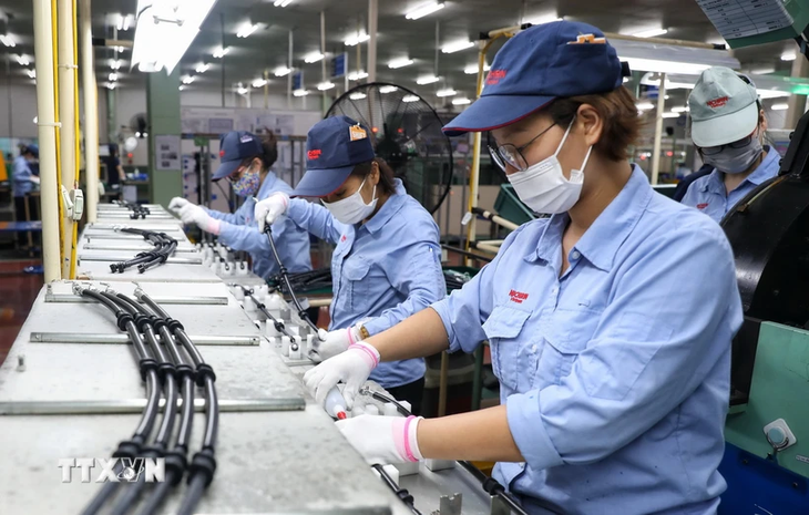 Vietnam will be an important link in the global supply chain. (Photo: VNA)