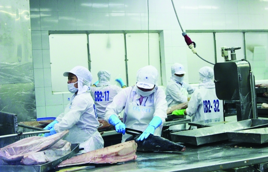 Enterprises seize tuna export opportunities