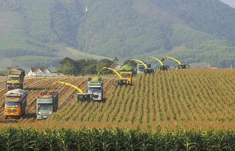 Lack of “locomotives” leading high-tech agricultural enterprises