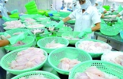 New directions for two key export products of the seafood industry