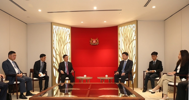 Vietnamese Minister of Finance Ho Duc Phoc and Singaporean Second Minister of Finance Chee Hong Tat at the meeting.