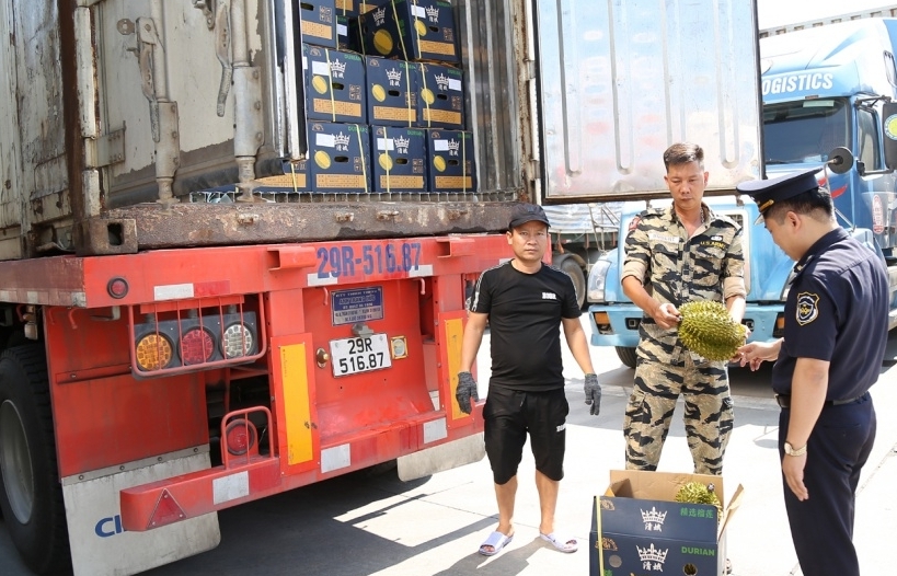 Durian exports reaches more than half of US$ billion at Lao Cai boder gate Customs