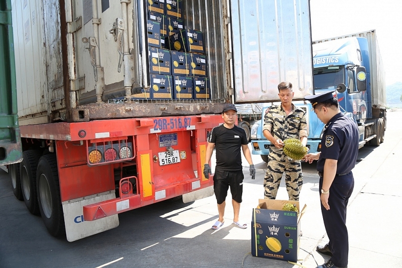 Durian exports through international border gate No. II Kim Thanh, Lao Cai. Photo: Lao Cai Newspaper.