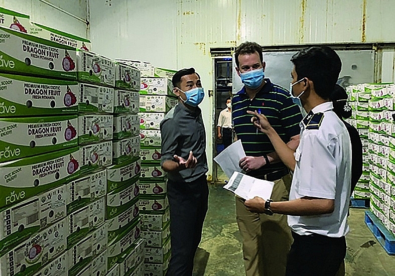 Dragon fruit waiting to be irradiated for export to the US. Photo: N.H.