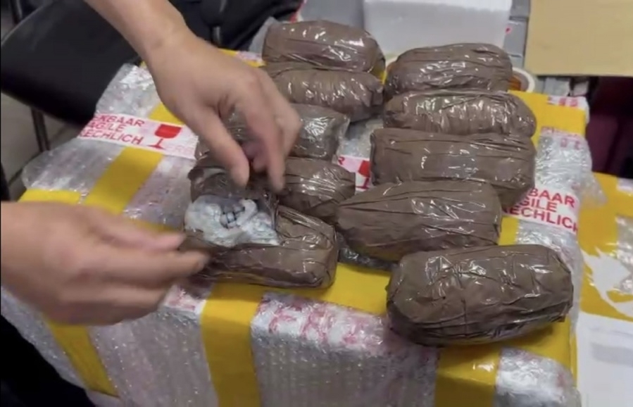 Terminating the line of drugs trafficking of over 116kg narcotic from France to Vietnam