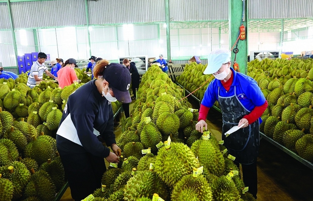 EU proposes to change maximum residue levels in many agricultural products of Vietnam