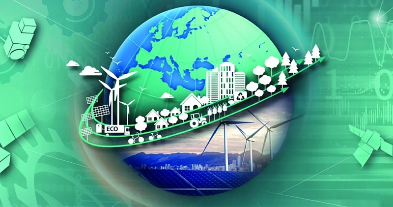 Businesses develop sustainably to meet international standards. Illustration photo: ST