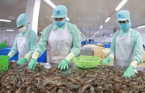 Shrimp exports hit record in July