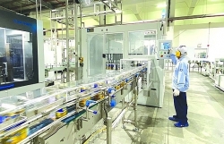 food industry enterprises proactively adapt to export