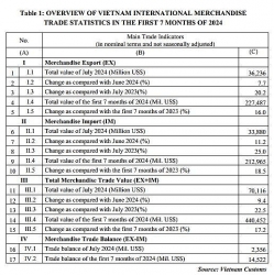 preliminary assessment of vietnam international merchandise trade performance in the first 7 months of 2024