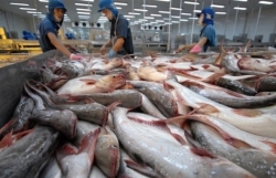 Vietnam becomes second largest supplier of white fish to US