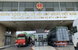 Lao Cai Customs clears 454 durian trucks during 4-day holiday