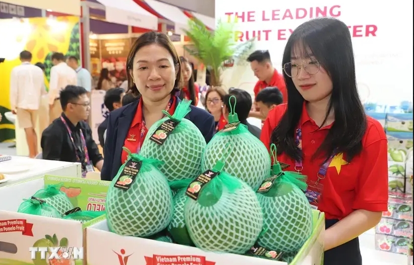 Vietnamese vegetables, fruits promoted at Asia Fruit Logistica