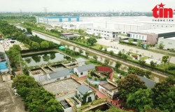 Eco-industrial parks vital to achieving net zero emission target by 2050