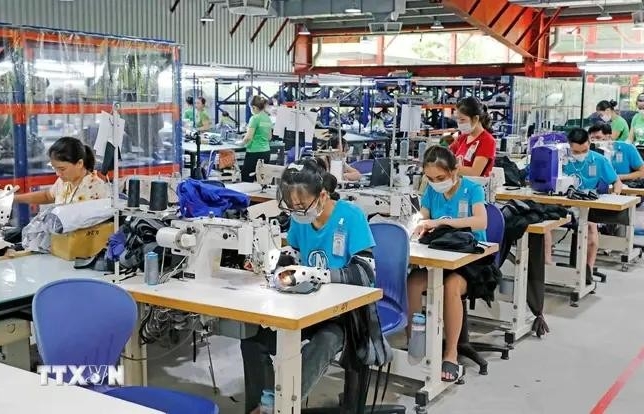 Vietnam enjoys stable economic rebound so far