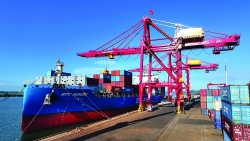 exports gain momentum