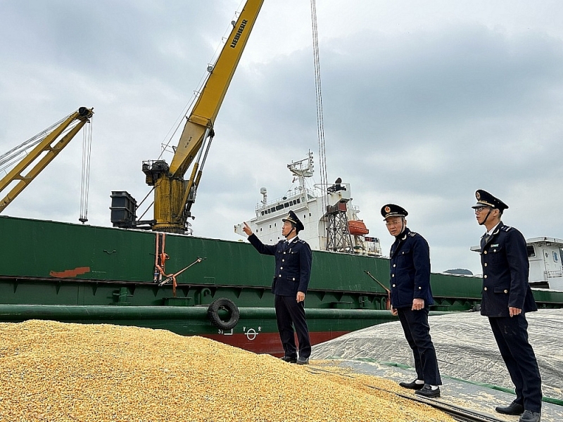 Officials of Cam Pha Port Customs Branch, Quang Ninh Customs Department supervise import and export goods.