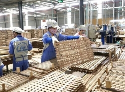 Wood export target of 15.2 billion USD feasible, challenges remain