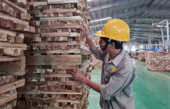 Despite recovery, wood and wood products export face new challenge