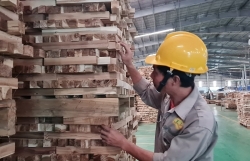 Despite recovery, wood and product exports face new challenges