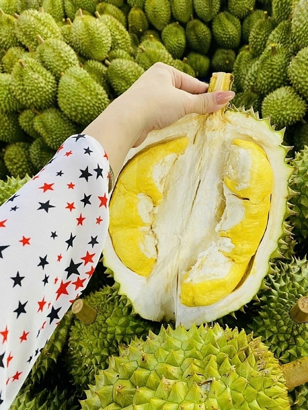 Frozen durian exports may reach $300 million in 2025. Photo: ST