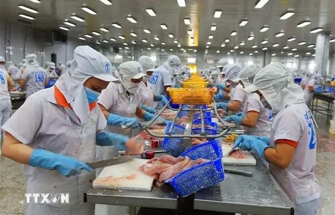 US Commerce Department announces preliminary anti-dumping review results for Vietnamese catfish exports