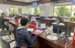 HCMC Tax Department focuses on resolving land dossiers as soon as possible