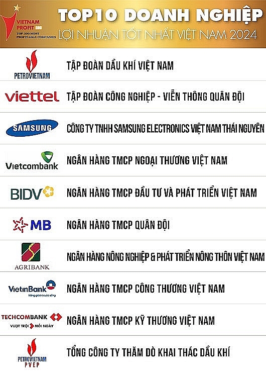 Top 10 Ranking of Top 500 Most Profitable Enterprises in Vietnam in 2024