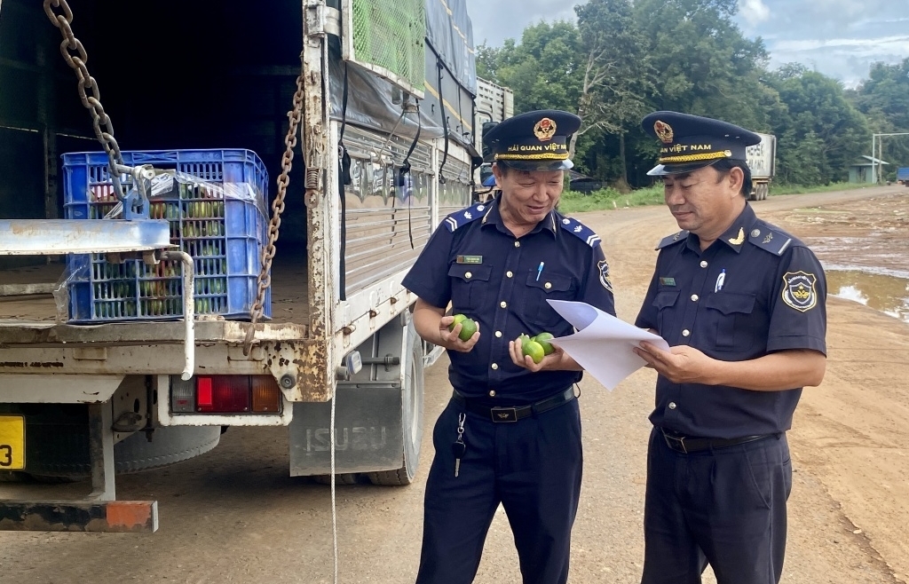 Tay Ninh Customs accomplish revenue collection target earlier