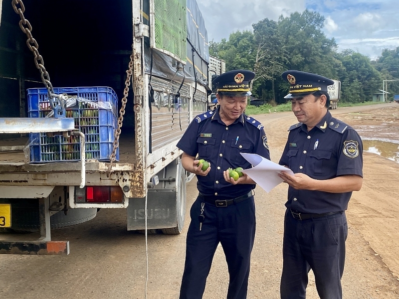 Officials of Xa Mat Customs Branch, Tay Ninh Customs Department inspect export goods. Photo: T.D