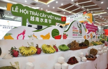 First Vietnam fruit festival opens in China