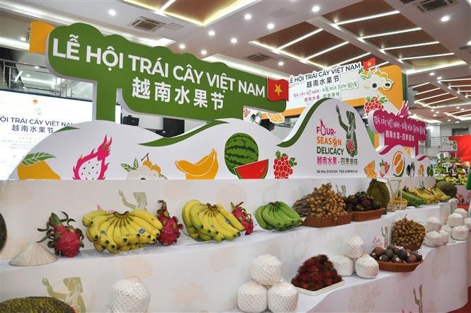 At the first-ever Vietnam fruit festival in Beijing. (Photo: VNA)