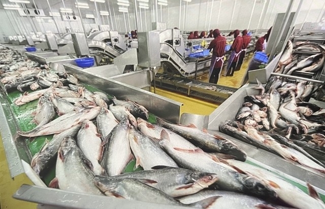 China spends 21 million USD importing Vietnam’s pangasius fish maws