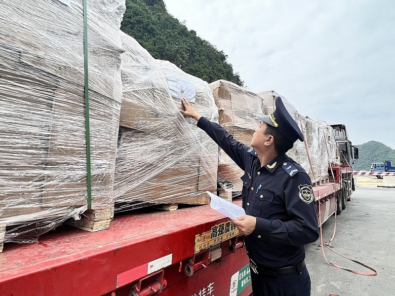 Tan Thanh Customs officers inspect imported machinery. Photo: H.Nu