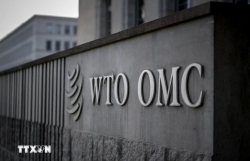 WTO highlights Vietnam’s role in restructuring of global supply chains