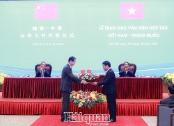 vietnam and china promote customs cooperation