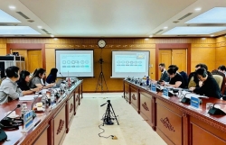 Vietnam – Australia share experience in building carbon credit trading platform